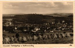 CPA AK Wunsiedel - Wunsiedel Mit Katharinenberg GERMANY (964537) - Wunsiedel