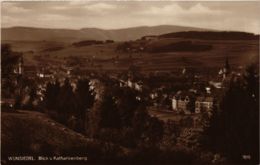 CPA AK Wunsiedel - Blick V. Katharinenberg GERMANY (964540) - Wunsiedel