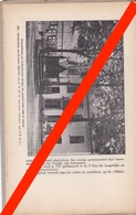 TIJDSCHRIFT NATUUR EN STEDENSCHOON - 1933 -  ESSEN ESSCHEN - ART 5 BLZ - Documentos Históricos