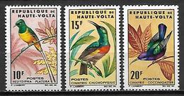 HAUTE VOLTA   -   1965   .  Y&T N°138 à 140*.  Oiseaux.  Série Complète - Haute-Volta (1958-1984)