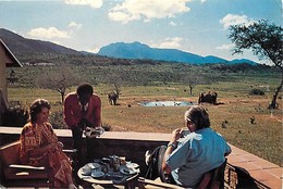 Grd For-ref Z424- Ngulia Safari Lodge - Kenya - - Kenya