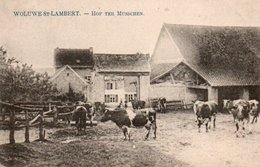 Woluwe St-Lambert  Hof Ter Musschen Circulé En 1909 - Woluwe-St-Lambert - St-Lambrechts-Woluwe