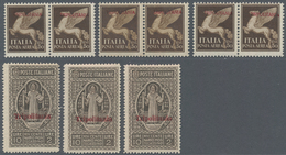 Italienisch-Libyen: 1909/1948, Libyan Area, Almost Exclusively MNH Assortment On Stockcards, Compris - Libya