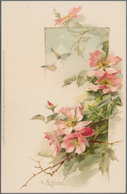 Ansichtskarten: Künstler / Artists: KLEIN, Catharina (1861 - 1929), Deutsche Rosen- Und Blumenmaleri - Unclassified