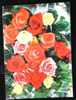 ROSES - CARTE 3D LENTICULAR - DIF- CARTE 3 D - 3 DIMENSION POSTCARD - Cartes Stéréoscopiques