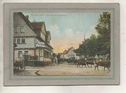 CPA - (Allemagne-Basse-Saxe) ALTENAU I. Harz - Partie Mit Hôtel Rathaus - Farbige Postkarte Von 1906 - Altenau