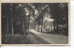 REF1281/ PC-PK Environs De Grez-Doiceau à L'entrée Du Bois De Beausart - Graven