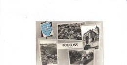 Souvenir De Poissons.Multivues - Poissons