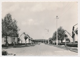 WACHTEBEKE   NIEUWE WIJK    FOTOKAART - Wachtebeke