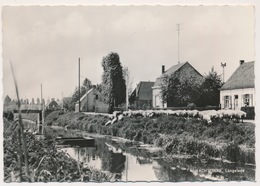 WACHTEBEKE   LANGELEDE   FOTOKAART - Wachtebeke