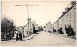 22 PLOUARET - Route De Lannion - Plouaret