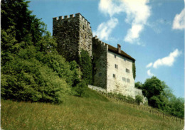 Schloss Habsburg Bei Brugg (18052) - Brugg