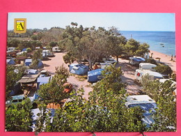 Visuel Très Peu Courant - Espagne - Denia - Alicante - Camping Les Basetes - Recto-verso - Alicante