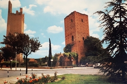 Cartolina - Rovigo - Giardini Pubblici - Le Torri - 1978 - Rovigo