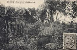 Madagascar YT 64 CAD Grande Comore 28 JAN 16 CPA Grande Comore Défriché En Forêt - Cartas & Documentos