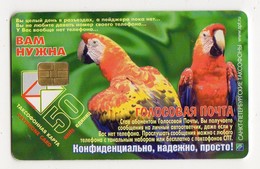 RUSSIE TELECARTE PERROQUET PARROT - Loros