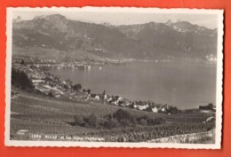 IKA-03 Lavaux Rivaz Et Les Alpes Vaudoises. Metzger 1354  <<<<<<non Circulé - Rivaz