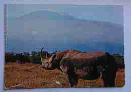 RINOCERONTE - RHINOCEROS - Kilimanjiaro In The Background - Kenia - Rhinocéros