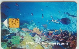 60 Units SATEL Marine Life - Antillen (Niederländische)