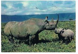 ANIMAUX RHINOCEROS CPM TBE  ZO165 - Rhinocéros