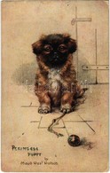 ** T4 Pekingese Puppy. Raphael Tuck & Sons' "Oilette" Sketches Of Doggies Postcard No. 8682. S: Maud West Watson (pinhol - Unclassified