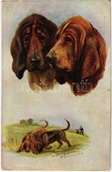 ** T2/T3 Sporting Dogs. Raphael Tuck & Sons "Oilette" Postcard No. 3366. S: N. Drummond (EK) - Unclassified