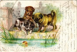 T3 1899 Dogs. Litho (EB) - Unclassified