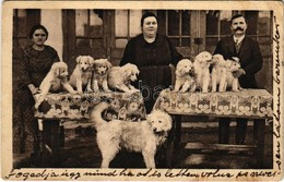 T3 1935 Magyar Kuvasz Tenyésztők / Hungarian Dog Breeders (EB) - Unclassified