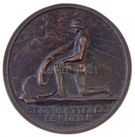 ~1930. "Becsülettel élj és Küzdj!" Irredenta Br érem (69mm) T:2- - Unclassified