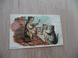 CPA Chat Cat Humanisés Gaufrée Avant 1906 Musque - Chats