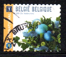 Belgique - N° 3962b - 2009 - Gebraucht