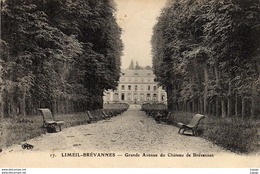 LIMEIL-BREVANNES    Grande Avenue Du Château De Brévannes.   Carte écrite En 1925   2 Scans  TBE - Limeil Brevannes