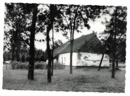 CPSM KEERBERGEN, UNE MASURE, BELGIQUE - Keerbergen