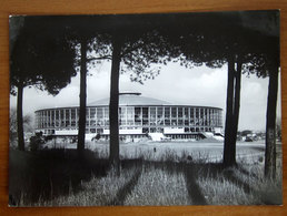 ROMA Palazzo Dello Sport  Cartolina 1962  Viaggiata - Stades & Structures Sportives