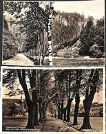 Olbernhau I. Erzgeb. - Lot Of 2 Postcards (Echte Photographie Franz Landgraf + 1 Teco) - Oberholzhau (Erzgeb.)