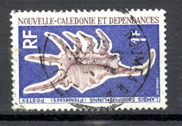 Timbre Oblitéré - NOUVELLE CALEDONIE - Coquillage Lambis Scorpius - Y&T 379 - Gebraucht