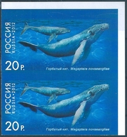 B7488 Russia Rossija Fauna Marine Life Whale Pair Colour Proof - Baleines