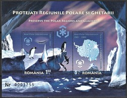 2009 Romania Preservation Of Polar Regions And Glaciers Minisheet (** / MNH / UMM) - Preservare Le Regioni Polari E Ghiacciai