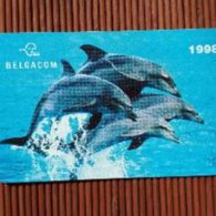 DOLPHIN Phonecard (MINT,NEW) Rare - Delphine