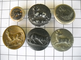 1240  Boutons Anciens Habits, Tenue De Chasse, Vénerie, Cerf, Sanglier, Biche, Renard, Chien Ou Loup? - Buttons