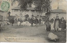 CPA - Métier Maquignons Marché Aux Cochons Place Aux Foires -  MOULINS 03 - Moulins