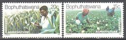 Bophuthatswana - Agriculture - Corn - Cotton - MNH - Agriculture
