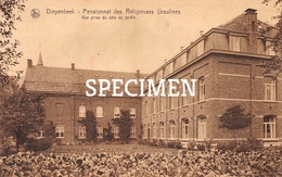 Delcampe - Pensionnat Des Religieuses Ursulines - Vue Prise Du Côté Du Jardin - Diepenbeek - Diepenbeek