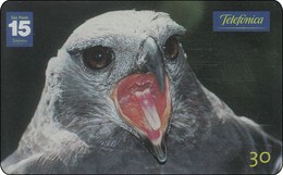 Brasilien  Phonecard  Bird Vogel - Aquile & Rapaci Diurni