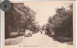 44 - Carte Postale Ancienne De SAINT BREVIN LES PINS   Avenue Des Acacias - Saint-Brevin-les-Pins