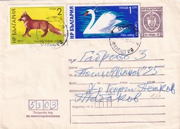 Bulgaria 1981 Postal Stationery Cover; Lion Löwe; Fauna Wolf (Vulpes Vulpes) Swan Cygne; - Other & Unclassified