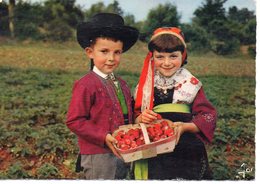 Plougastel-Daoulas Animée Enfants Dans Un Champ De Fraises En Costumes Traditionnels Folklore Coiffe - Plougastel-Daoulas