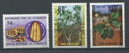 261 CAMEROUN 1980 - Yvert 655/57 - Fleur Graine Arbre - Neuf ** (MNH) Sans Trace De Charniere - Cameroun (1960-...)