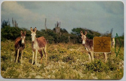 Bonaire  20 Units " Donkeys " - Antilles (Neérlandaises)