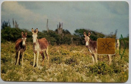 Bonaire  20 Units " Donkeys " - Antilles (Netherlands)